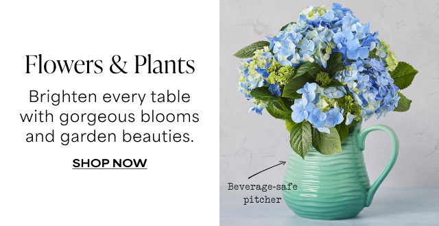 Flowers & Plants - Brighten every table with gorgeous blooms and garden beauties.