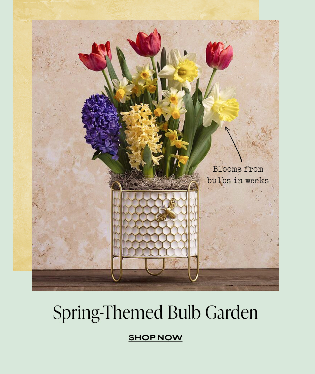 Spring-Themed Bulb Garden 