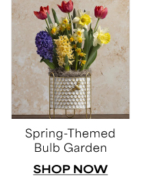 Spring-Themed Bulb Garden