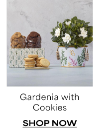 Gardenia with Cookies