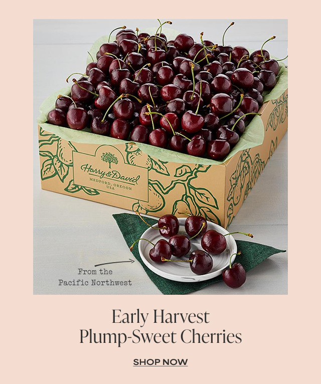 Early Harvest Plump-Sweet Cherries