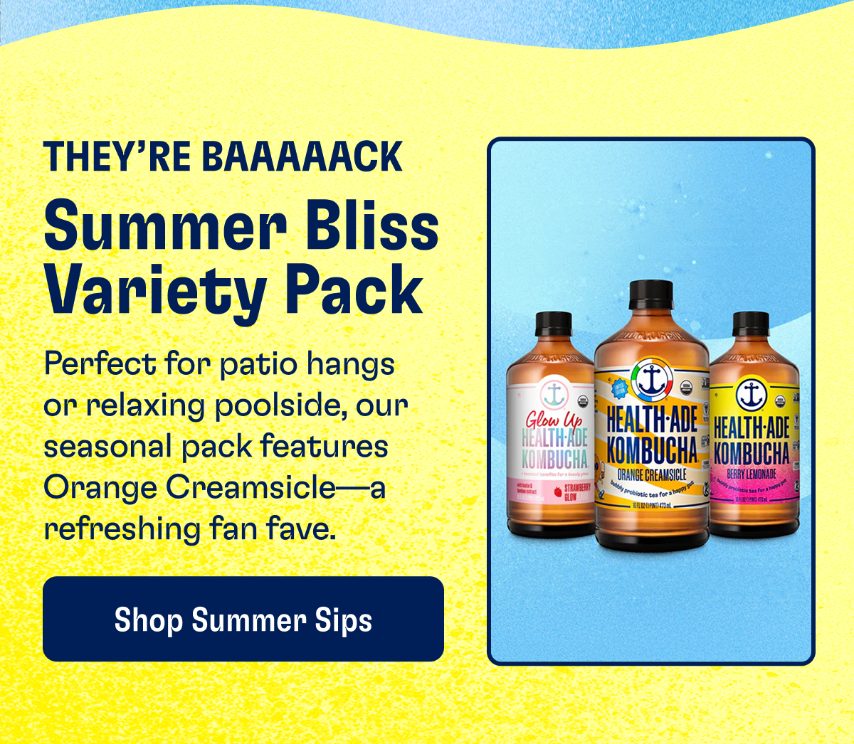 They're Baaaaack | Summer Bliss Variety Pack | Shop Summer Sips