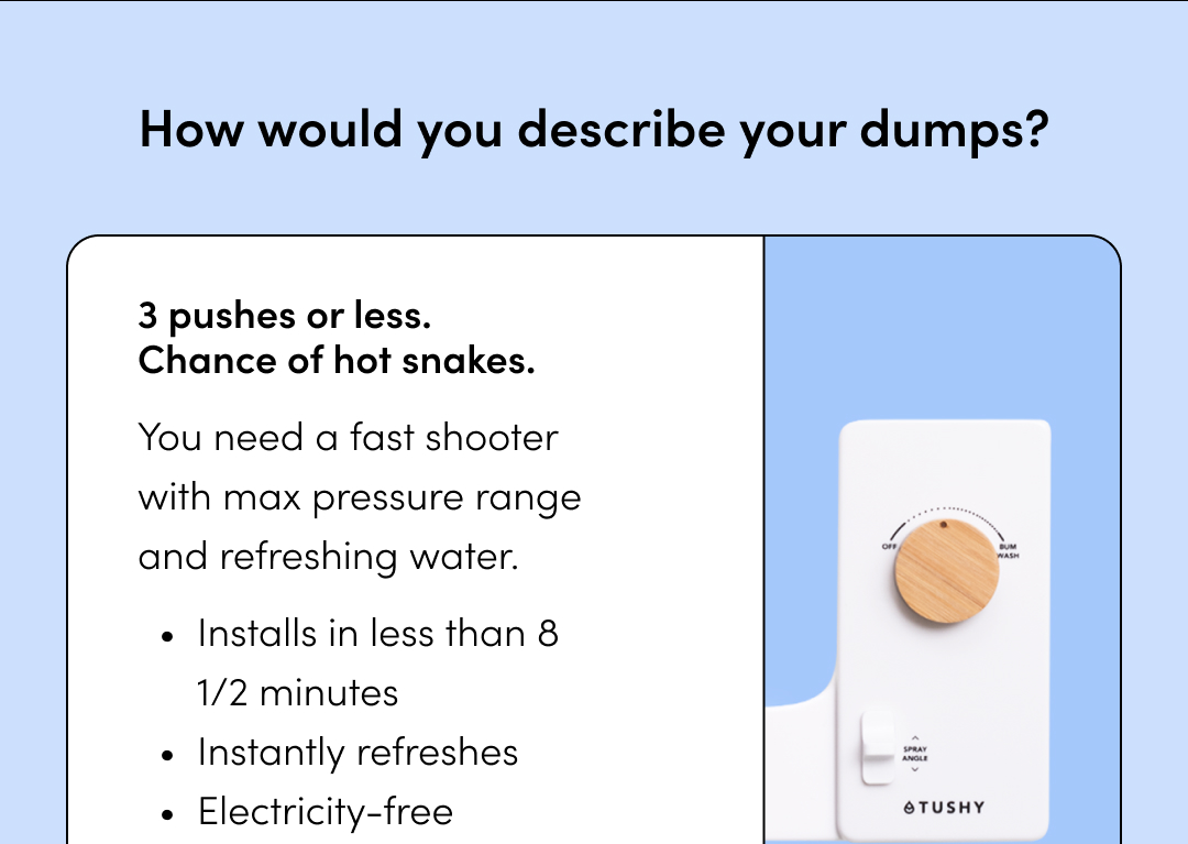 HOW WOULD YOU DESCRIBE YOUR DUMPS