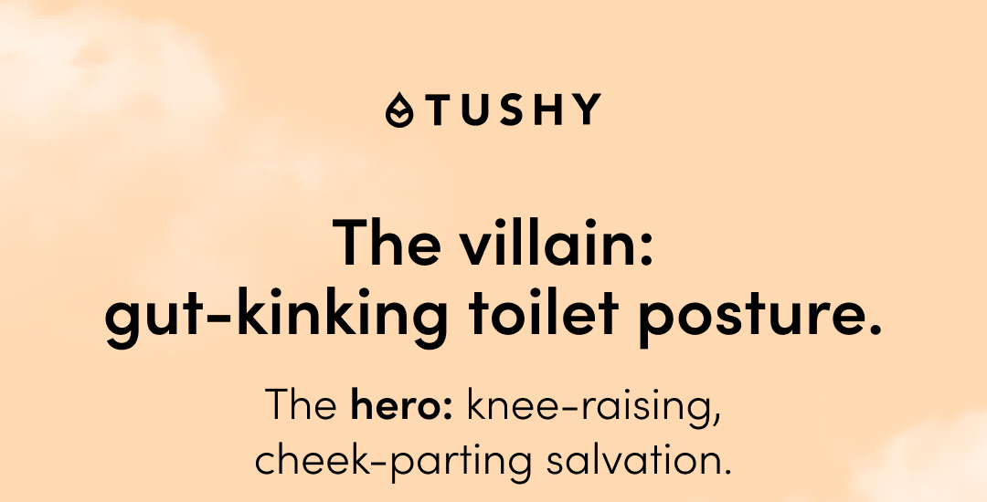 THE VILLIAN