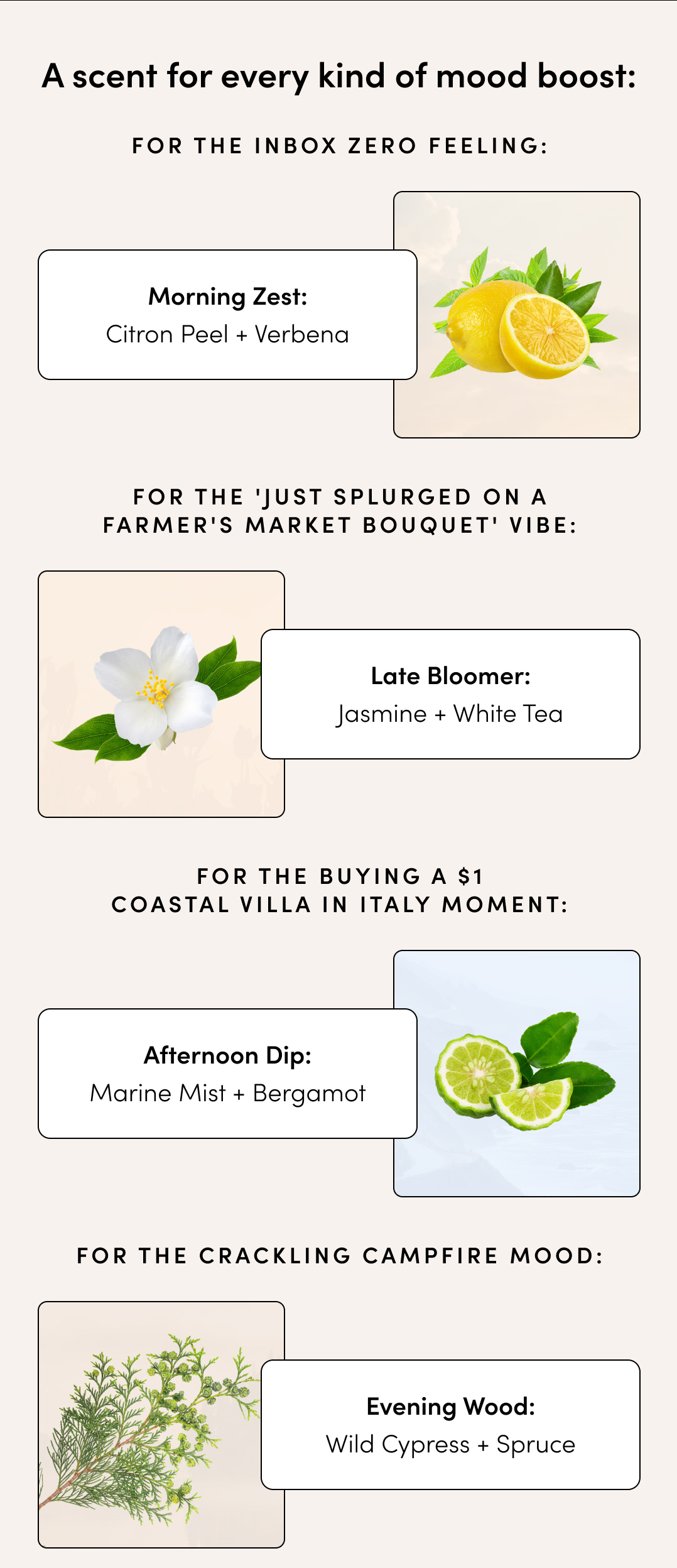 A SCENT FOR EVERY MOOD BOOST