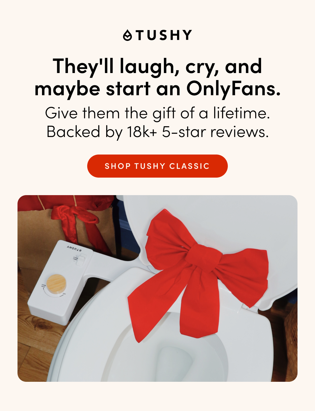 SHOP TUSHY CLASSIC