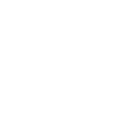 Warranty