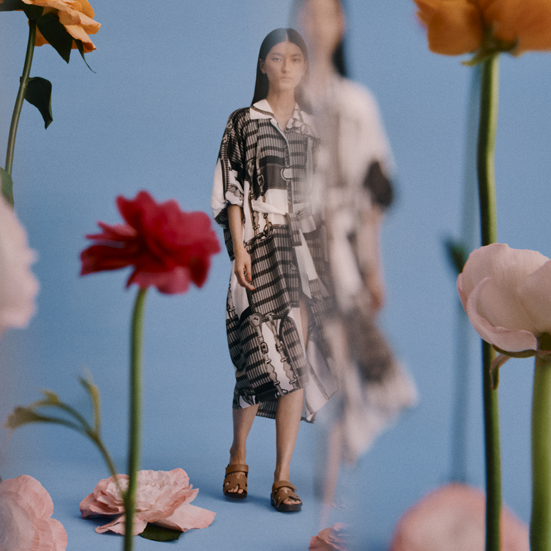 Image of Women ready-to-wear