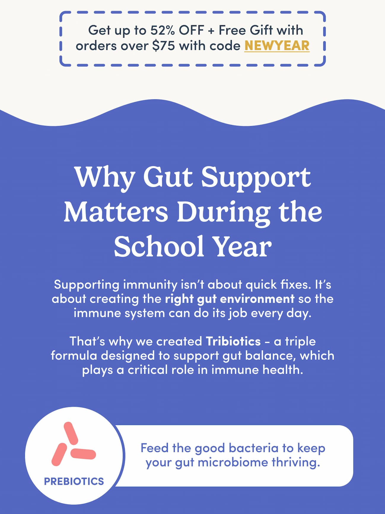 Why Gut Support Matters During the School Year