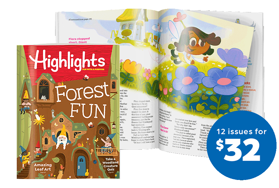 Highlights Magazine, 12 Issues for $32.