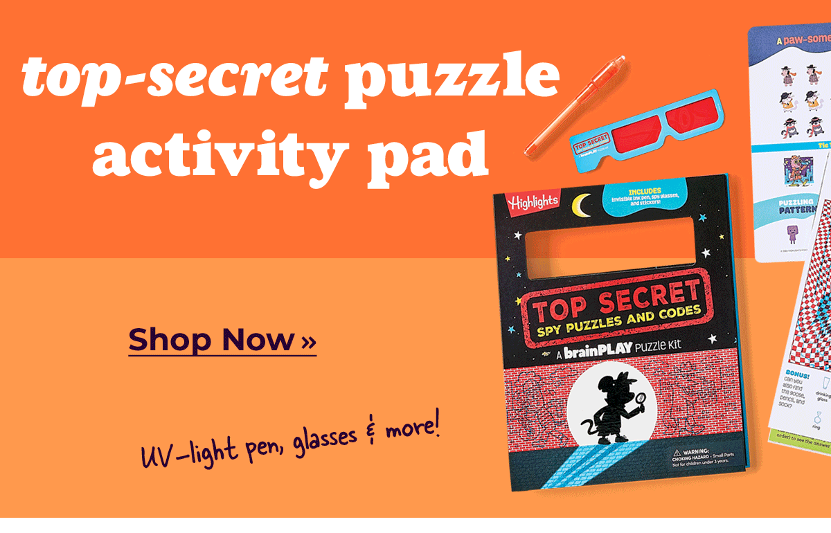 Top-Secret Puzzle Activity Pad.