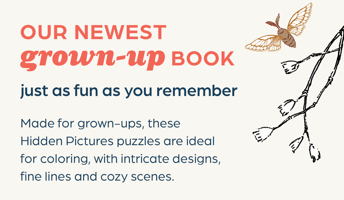 Hidden Pictures Puzzles for Grown-Ups. Kids of All Ages Love it, Too!