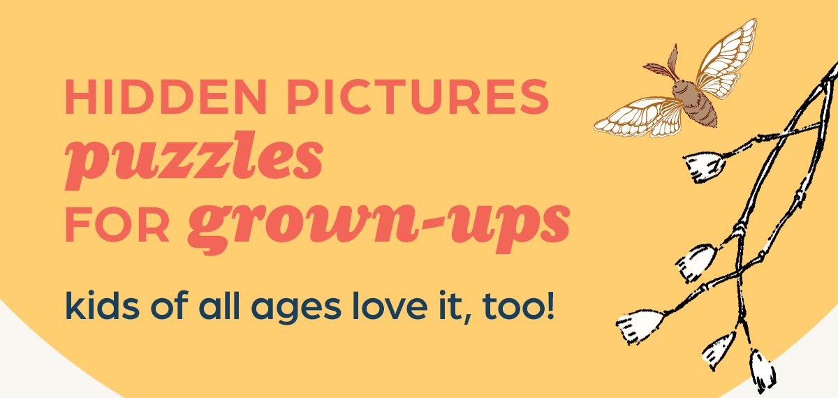 Hidden Pictures Puzzles for Grown-Ups. Kids of All Ages Love it, Too!