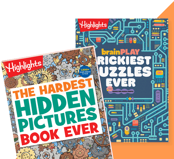brainPLAY + Hidden Pictures 4-Book Set.