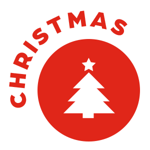 For Christmas: