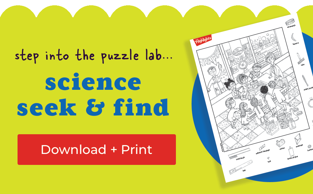 Download and Print Science Lab Hidden Pictures Puzzle.