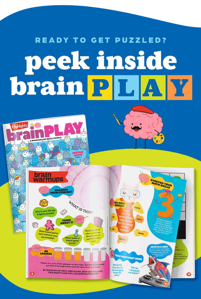 Ready to Get Puzzled? Peek Inside brainPLAY!