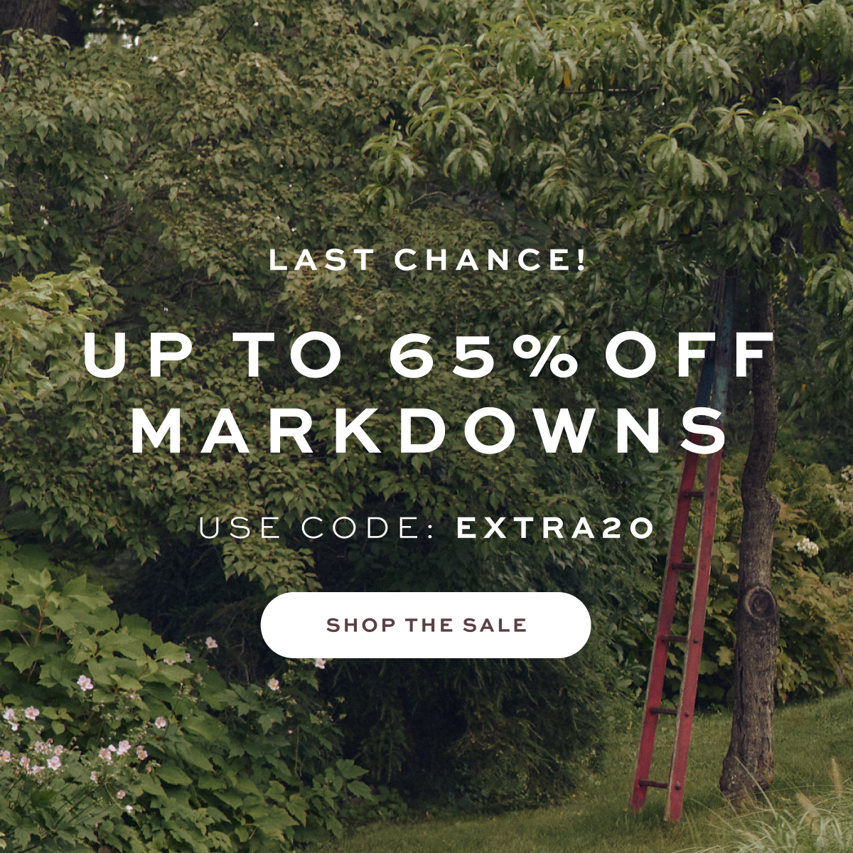 LAST CHANCE: UP TO 65% OFF MARKDOWNS