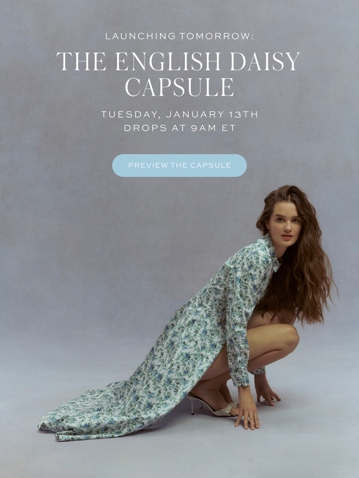 Preview the Capsule