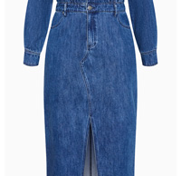 Shop the Elara Denim Dress