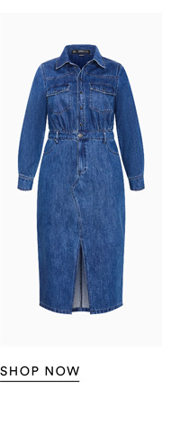 Shop the Elara Denim Dress