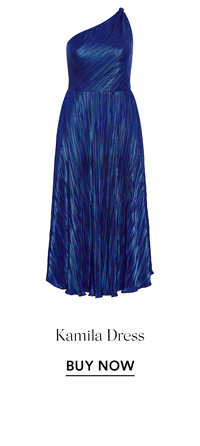 Shop the Kamila Dress