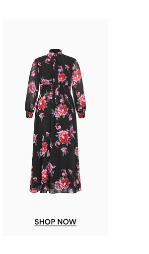 Alexandra Print Maxi Dress