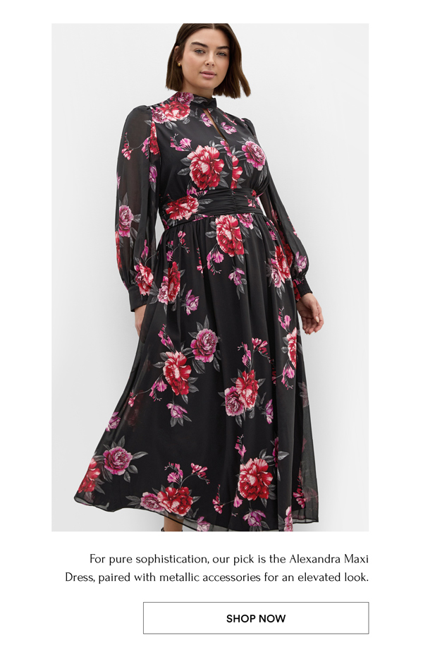 Alexandra Print Maxi Dress
