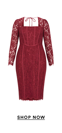 Shop the Valentine Lace Dress