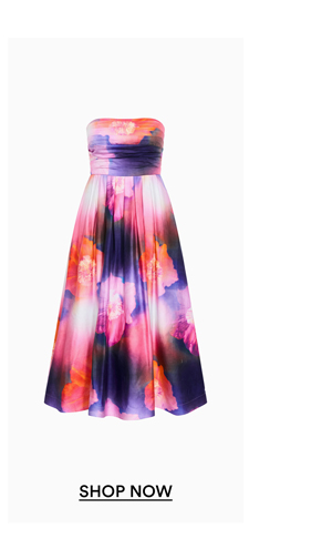 Shop the Rosalee Sleeveless Print Maxi Dress