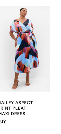 Shop the Hailey Aspect Print Pleat Maxi Dress