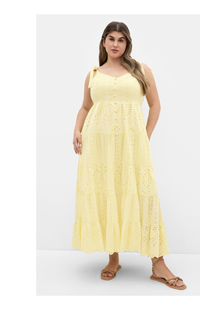 Shop the Allegra Embroidered Tier Dress