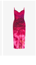 Shop the Sadie Print Slip Dress