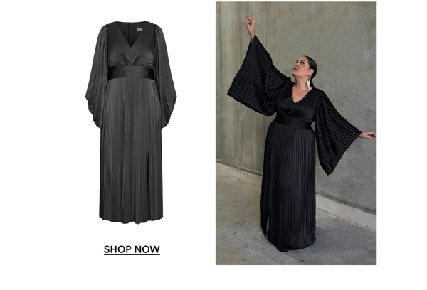 Shop the Carmina Pleat Maxi Dress