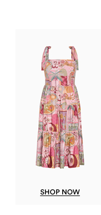 Shop the Elessia Print Midi Dress