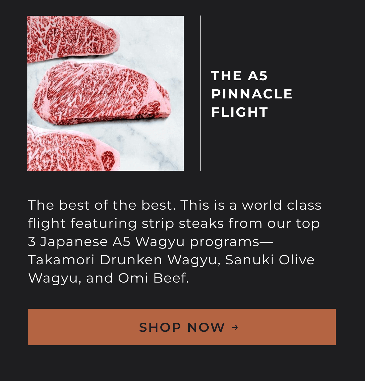 The A5 Pinnacle Flight