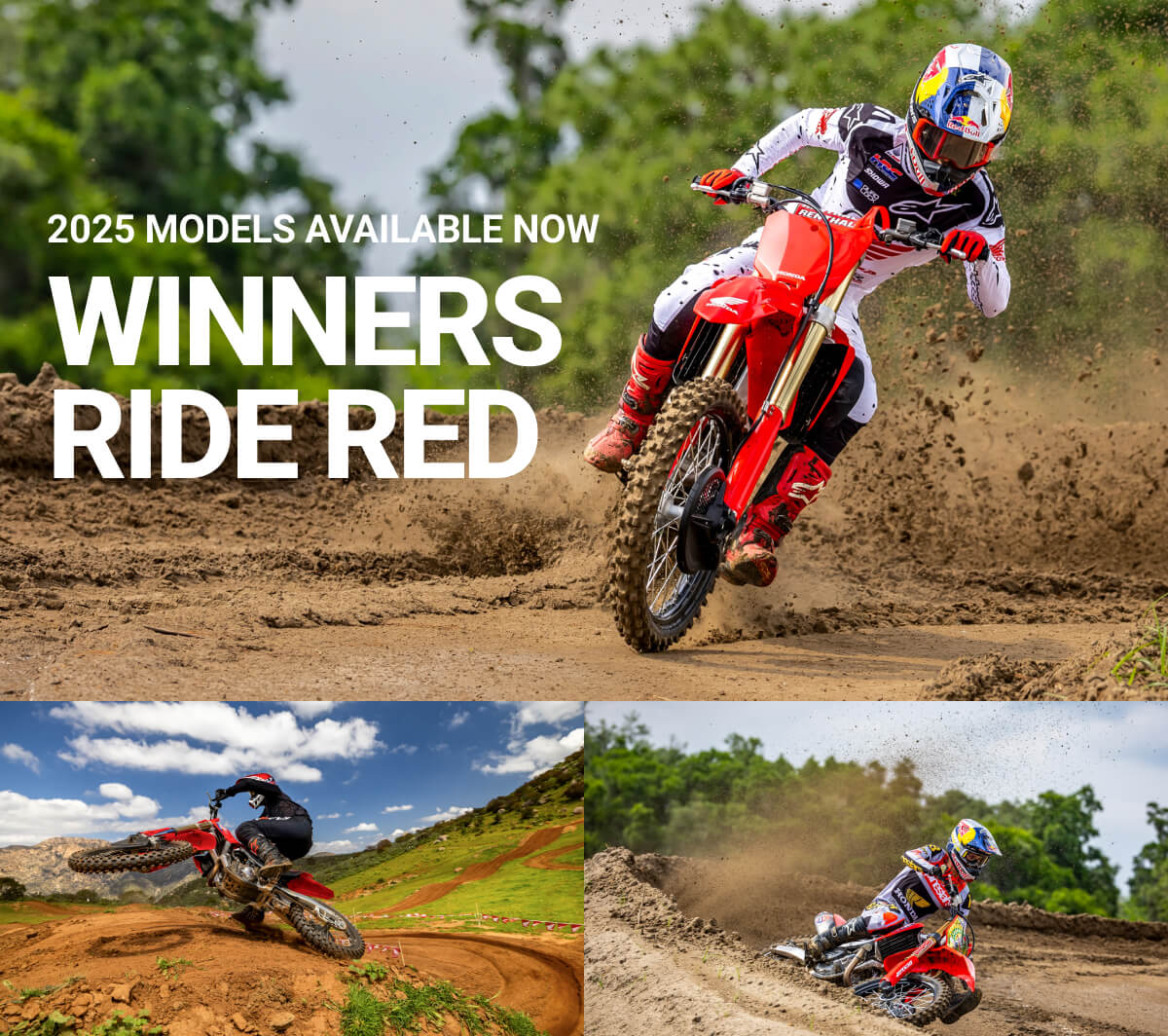 Winners Ride Red