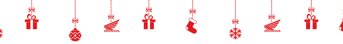 Ornament for the holiday