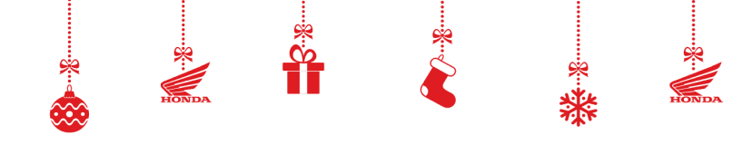 Ornament for the holiday