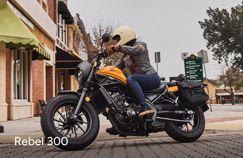 Rebel_300