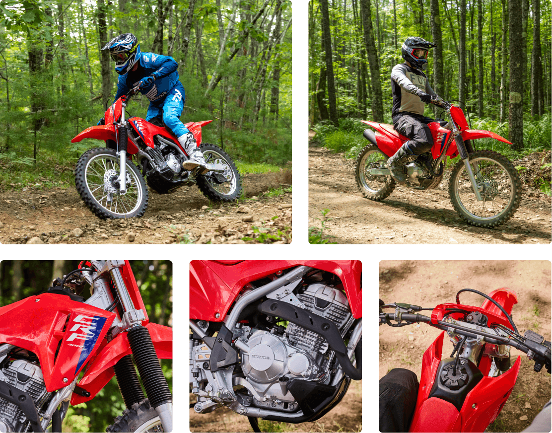 Tame Every Trail