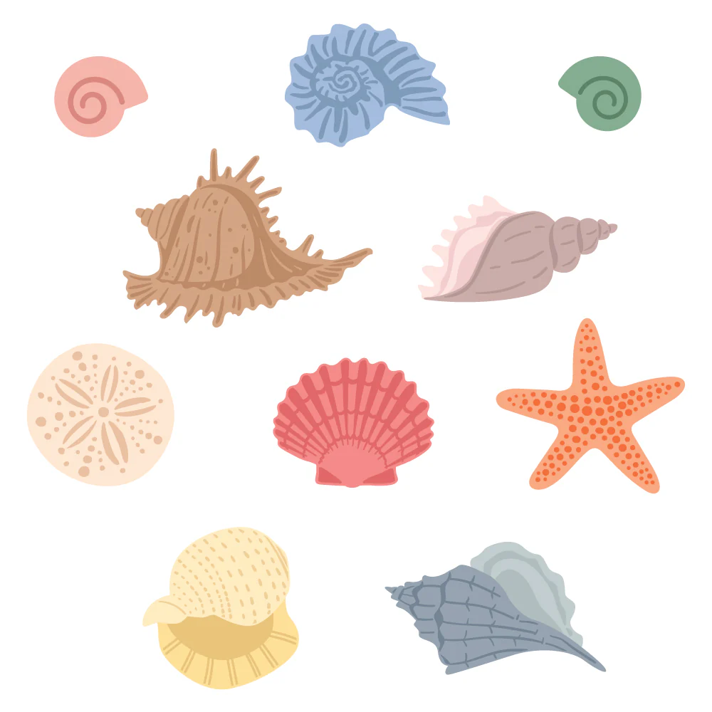 Image of Lovely Layers: Small Seashells - Honey Cut
