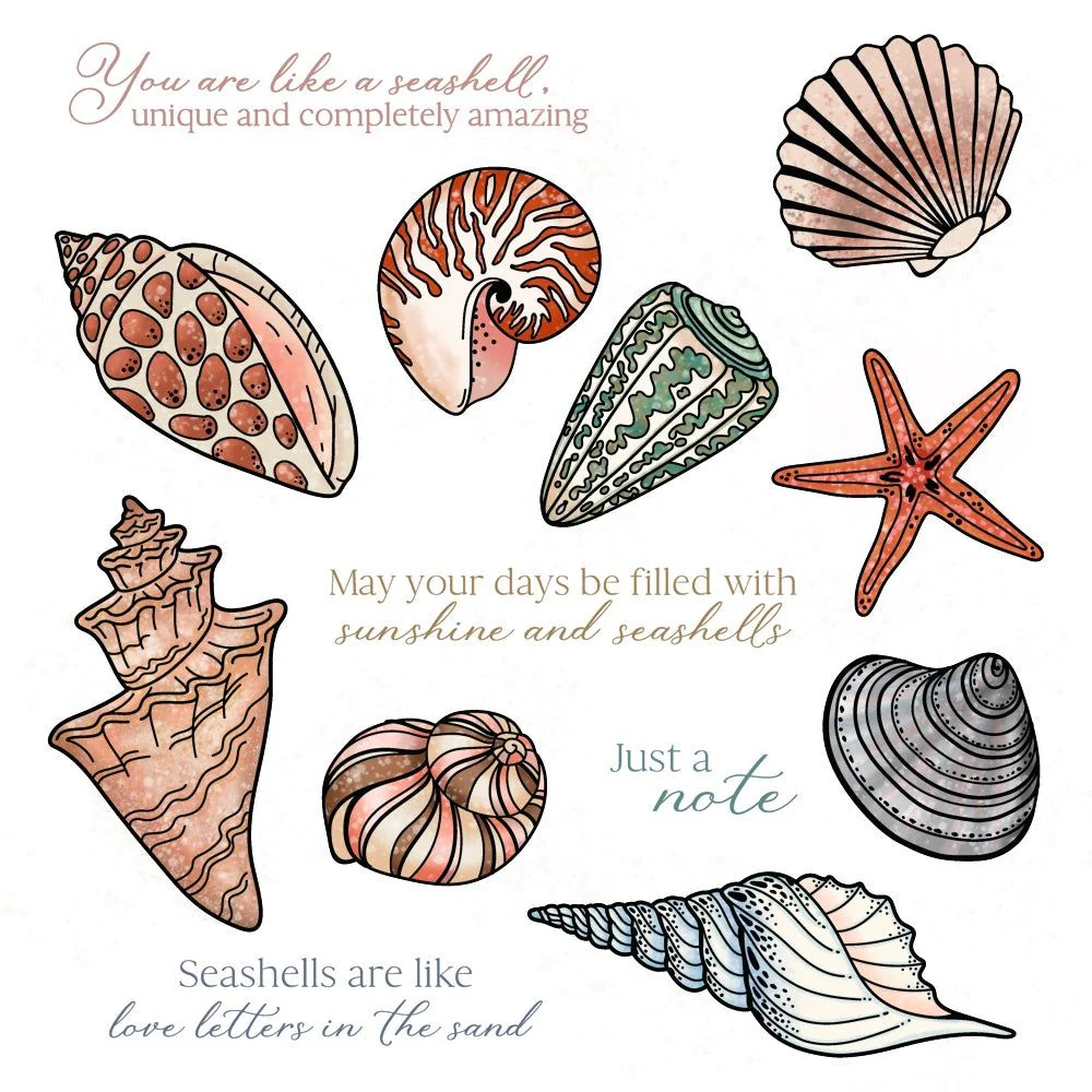 Image of Seashells - 6x8 Stamp Set