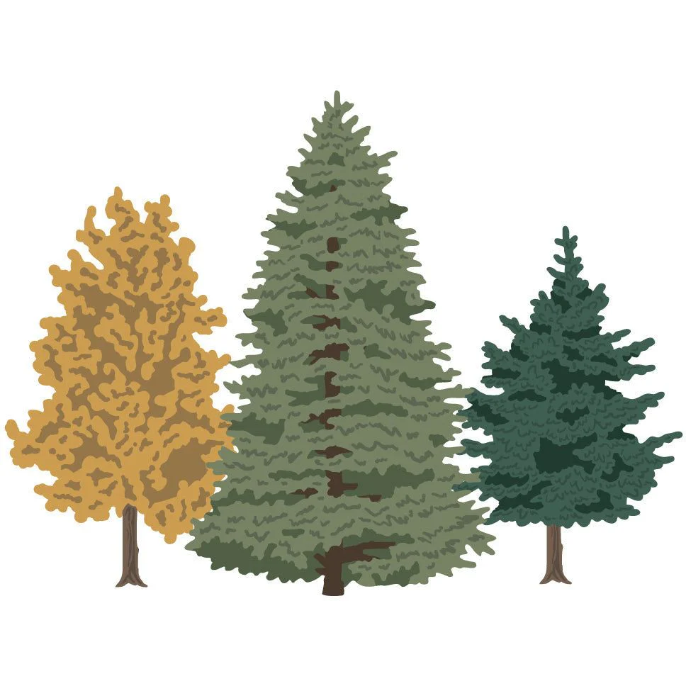 Image of Lovely Layers: Trees - Honey Cuts