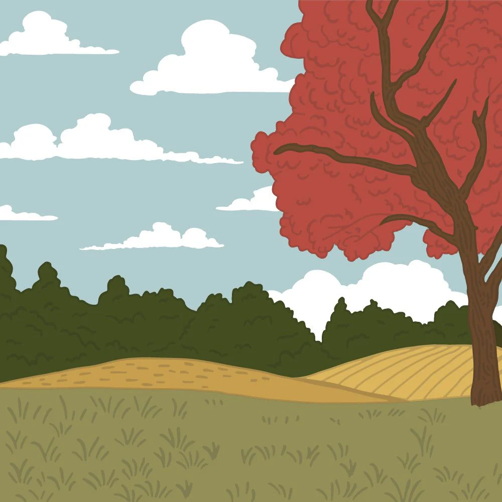 Image of Farmhouse Fields - Set Of 6 - 6"x6" Layering Stencils