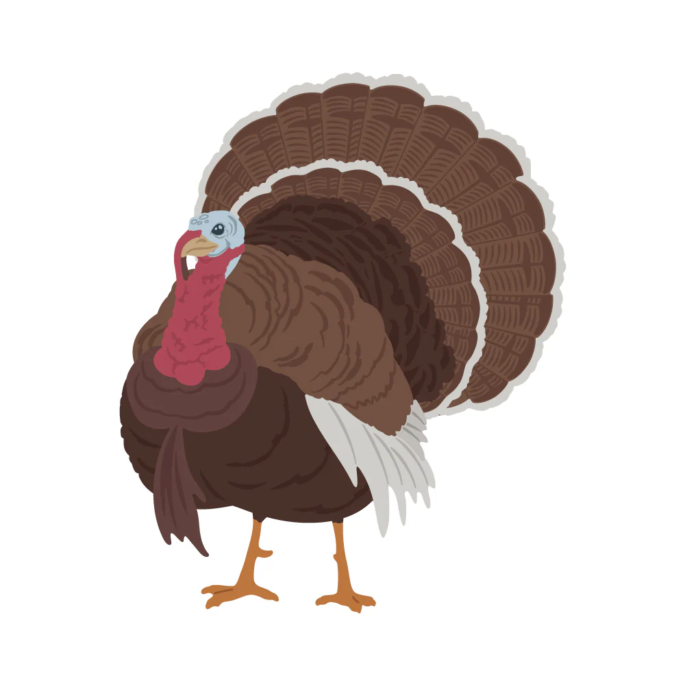 Image of Lovely Layers: Turkey - Honey Cuts - Stand-Alone Dies