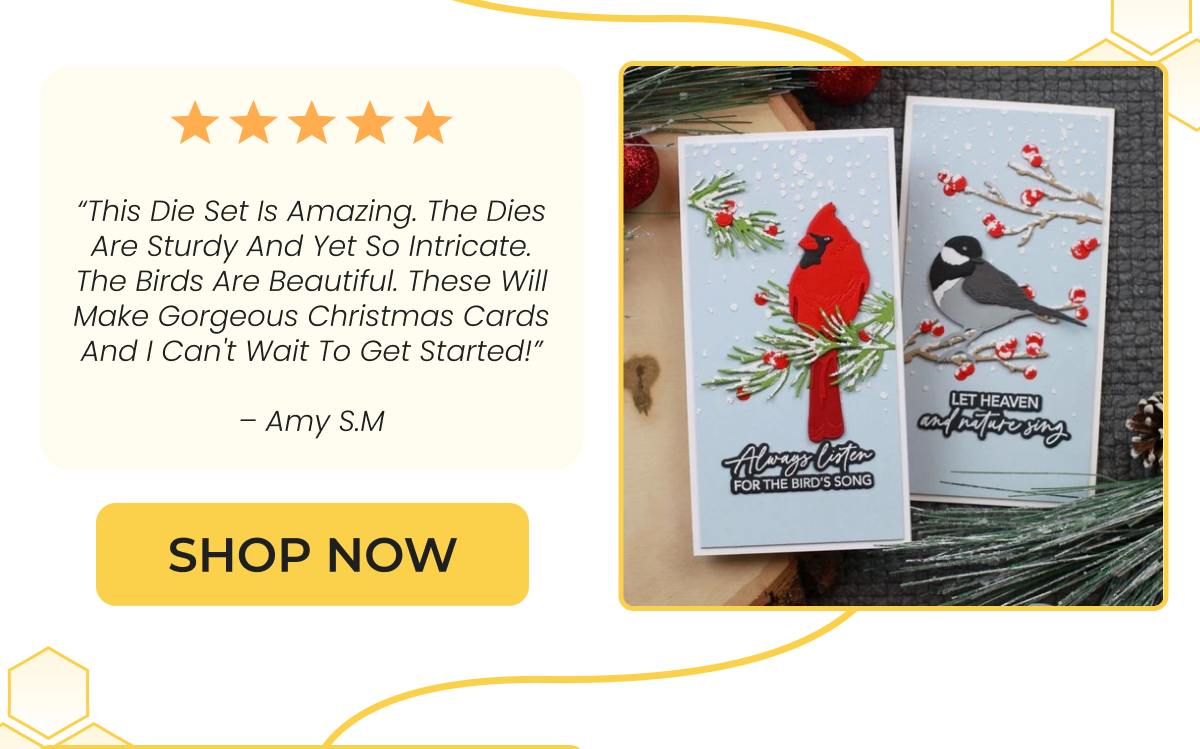 This Die Set Is Amazing. The Die Are Sturdy And Yet So Intricate. The Birds Are Beautiful. These Will Make Gorgeous Christmas