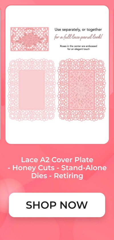 Lace A2 Cover Plate - Honey Cuts - Stand-Alone Dies - Retiring