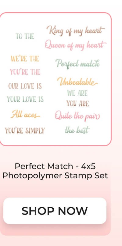 Perfect Match - 4x5 Photopolymer Stamp Set