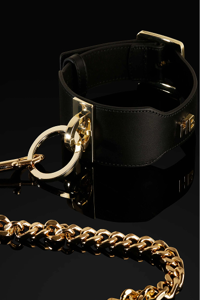 fashion-fetish-leather-collar fashion-fetish-leather-collar